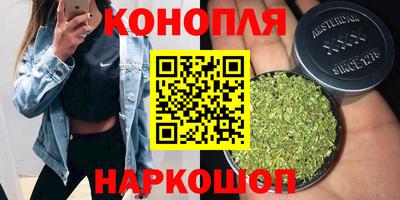 прущие крисы Изобильный